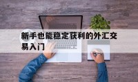 包含新手也能稳定获利的外汇交易入门的词条