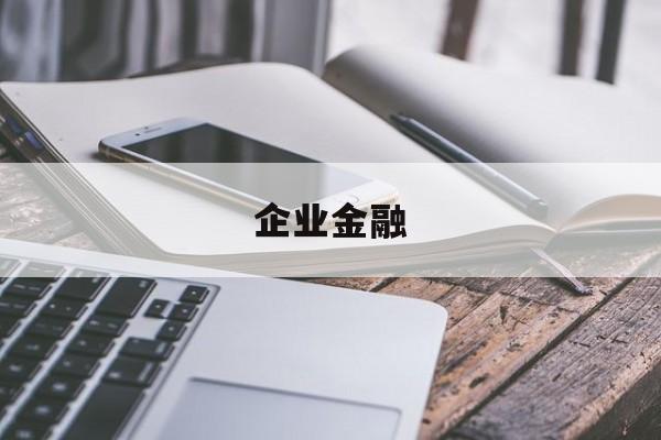 企业金融(企业金融化)